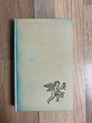 Livre relié-Denyse Mai-La dame de l’ombre