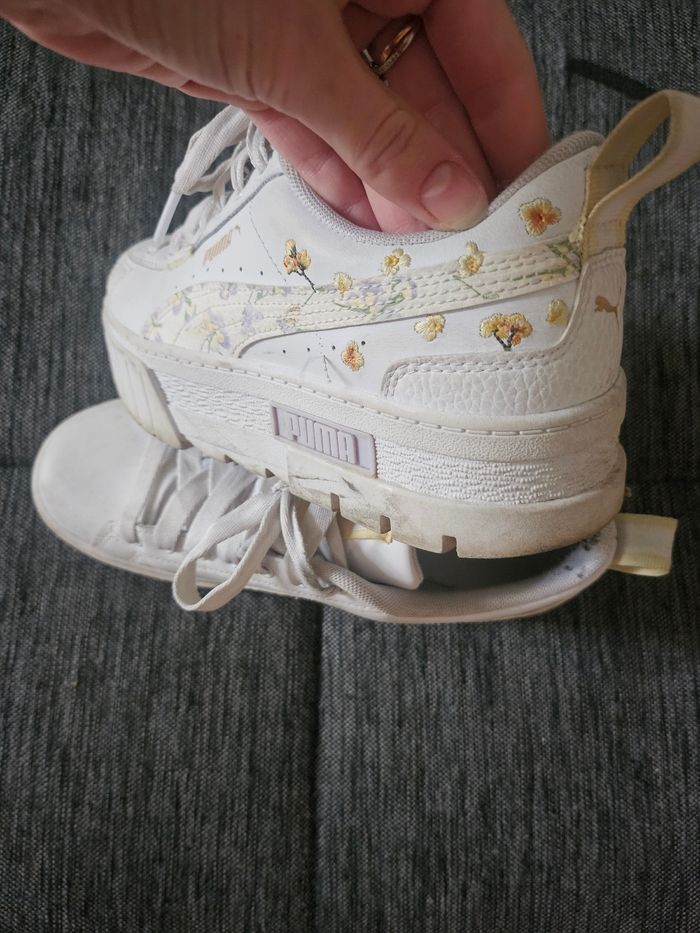 Puma - photo numéro 3