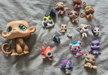 Petshop