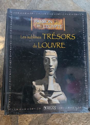 🪷livre les sublimes trésors du louvre