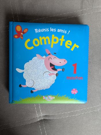 Livre Compter, réunis les amis !