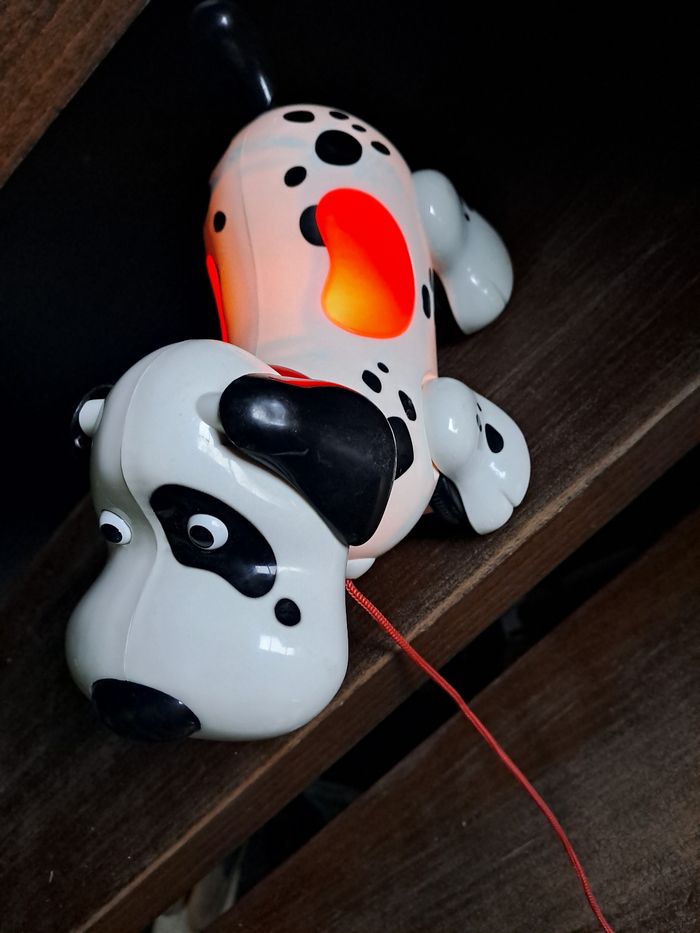 Chien a tiré avec son et lumiere - photo numéro 2