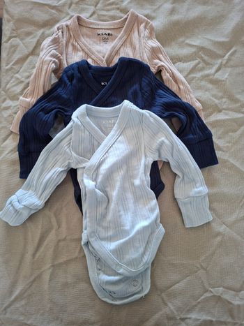 Lot 3 bodies 