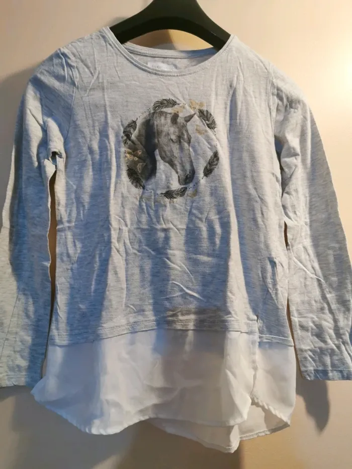 Pull chevaux