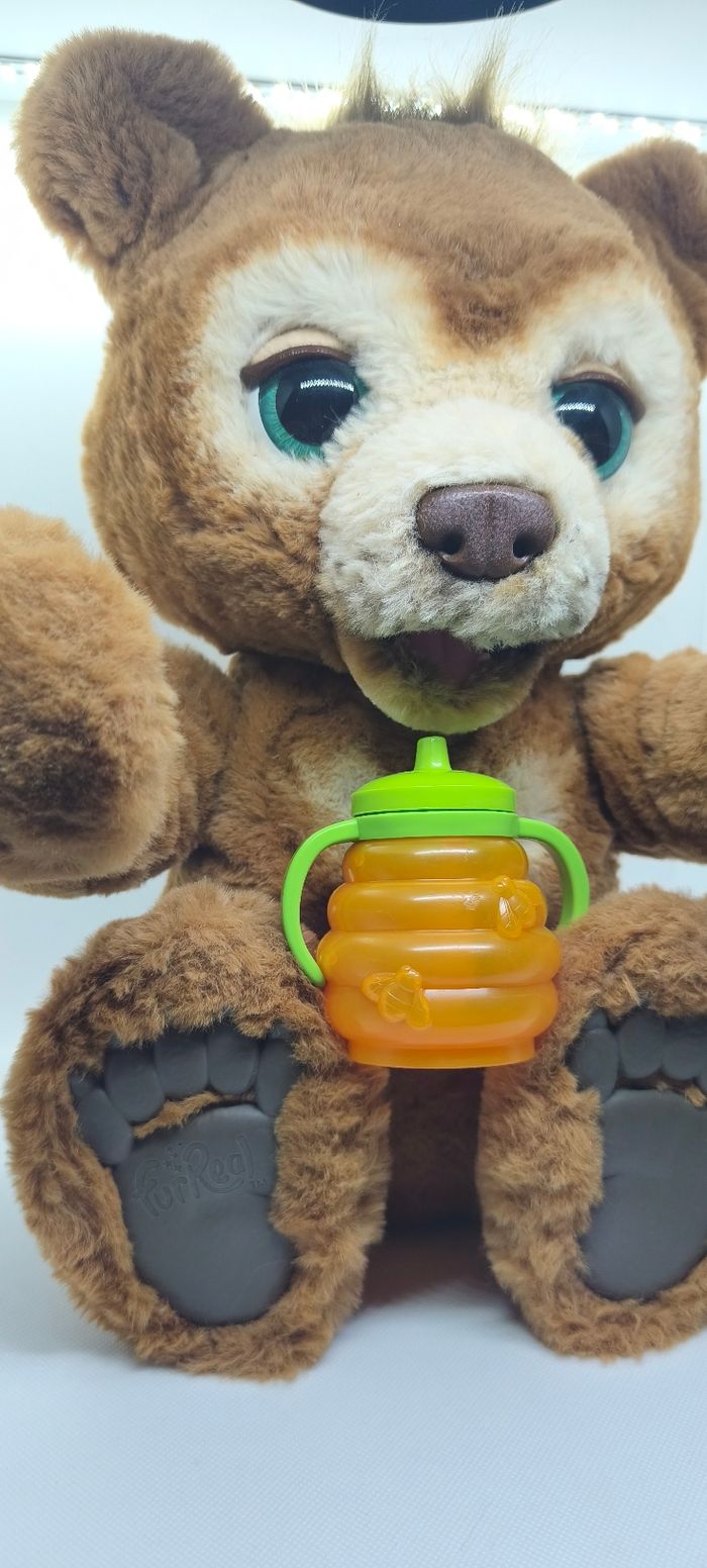 Ours interactif Fearreal  Hasbro - photo numéro 4