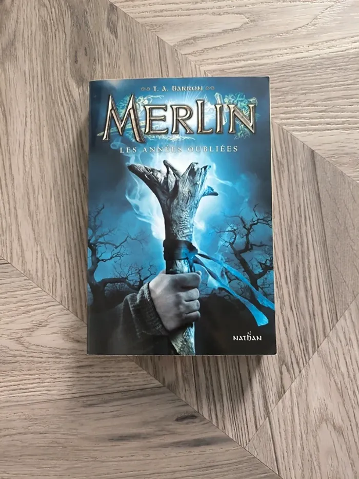 Livre Merlin Tome 1