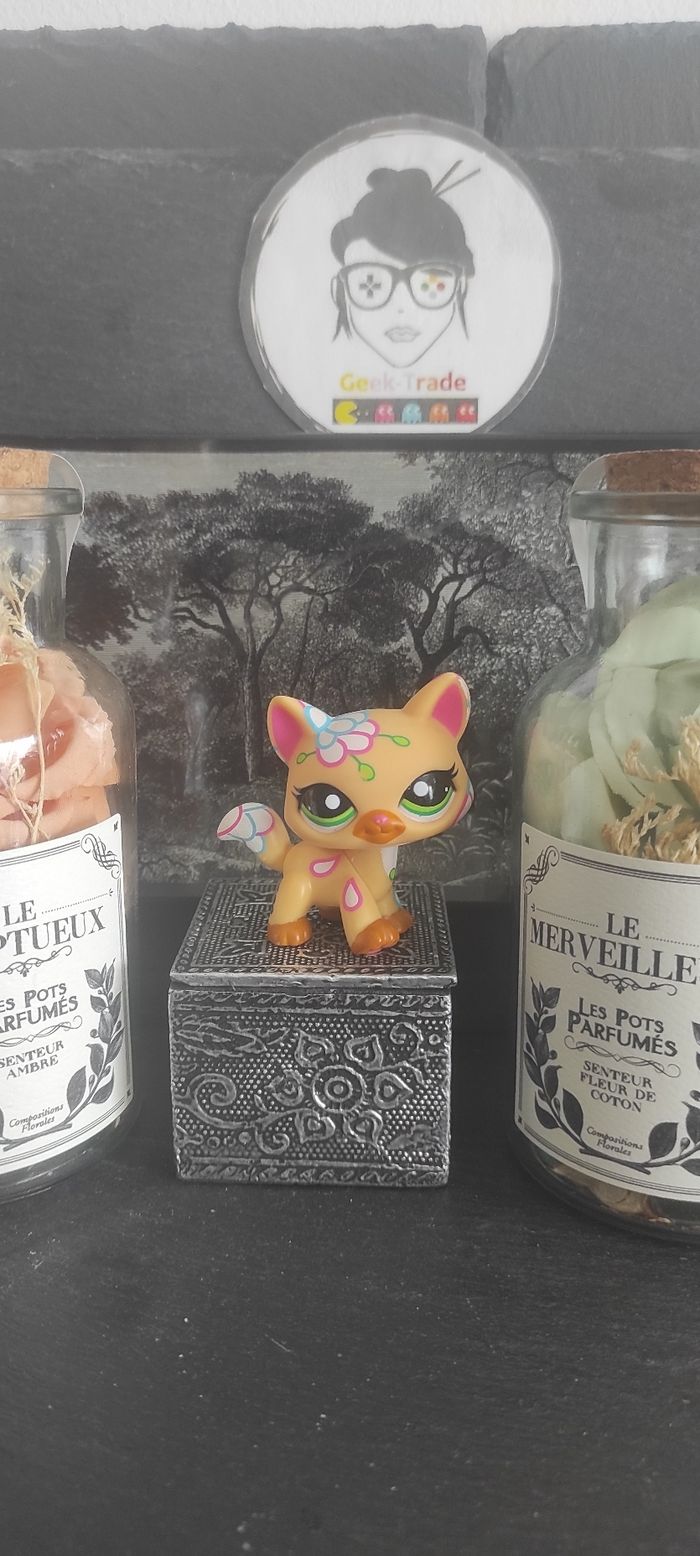 Littlest Petshop Pet Shop LPS Authentic Hasbro cat post Card Main Coon 1582 Chat