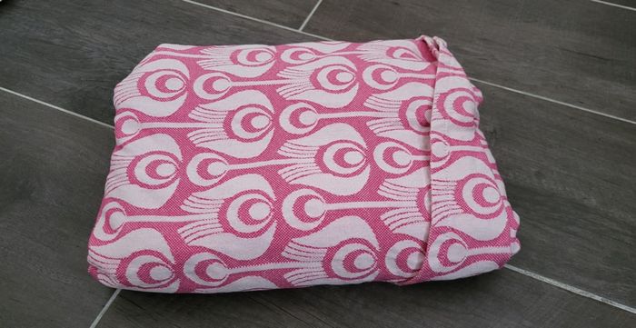 Tinge Garden Rose Garden