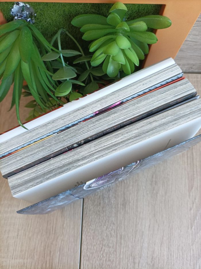 Lot de 3 mangas Gate Au Delà de la porte n° 1 à 3 Seinen - photo numéro 3