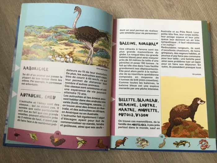 Le Dico des animaux - photo numéro 3