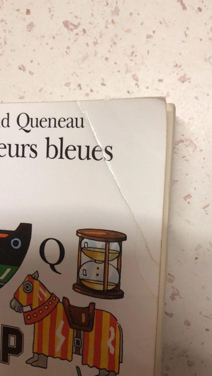Les fleurs bleues - photo numéro 3