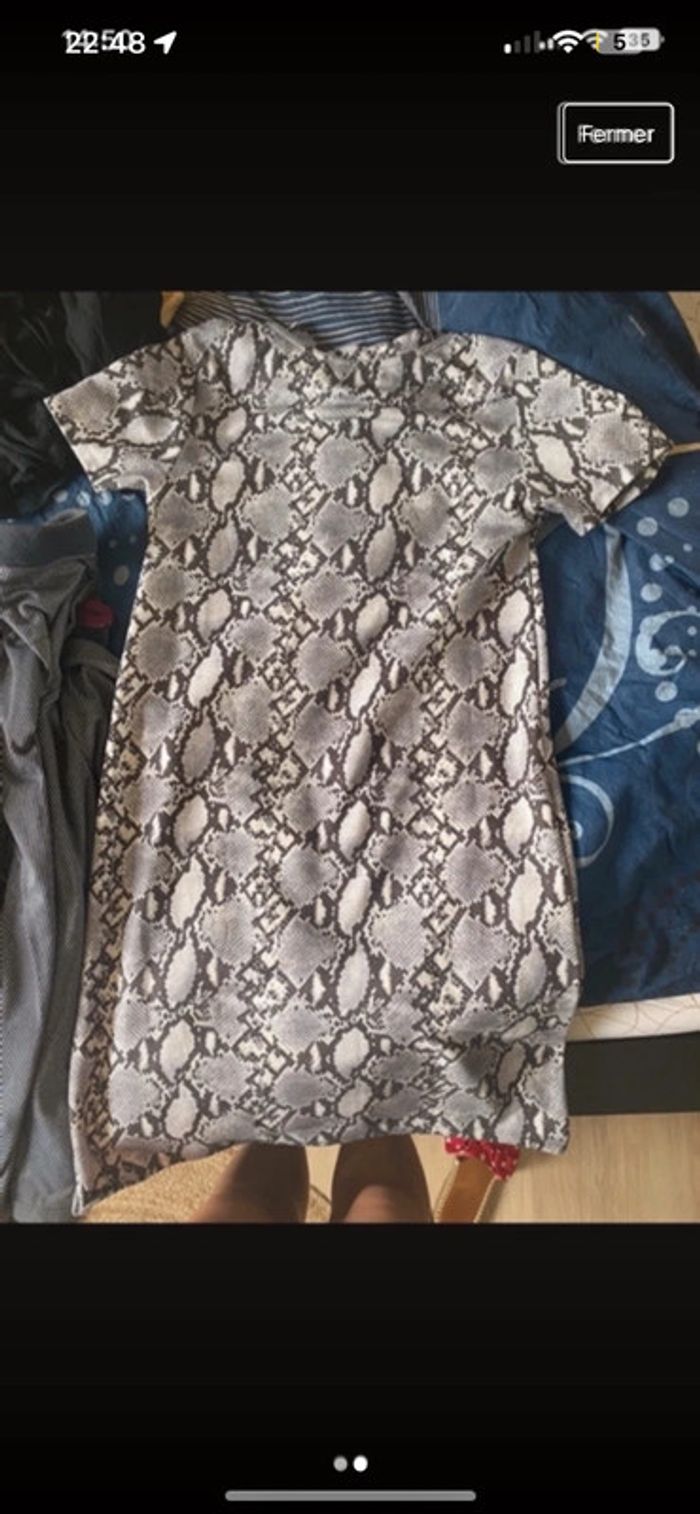 Robe python - photo numéro 2