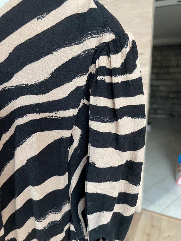 Robe zébrée - photo numéro 3