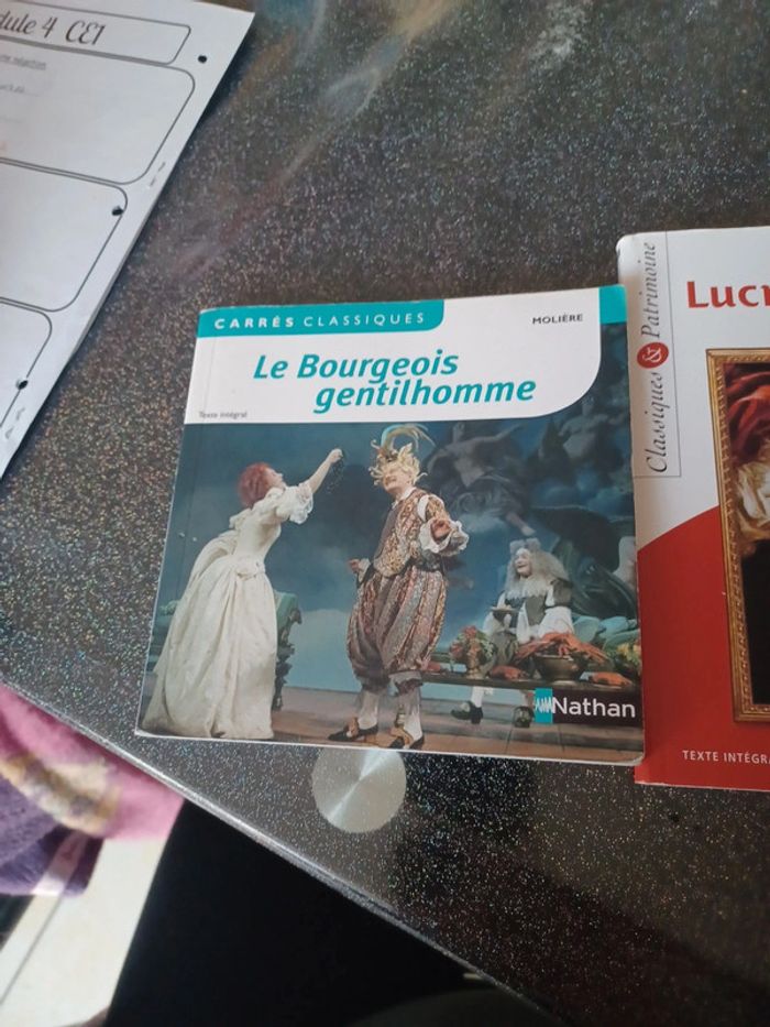Livre classique pour étude de texte - photo numéro 2