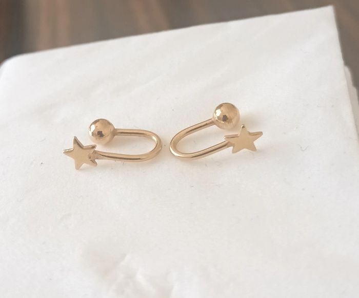 Boucles d oreilles ou de narine - photo numéro 2