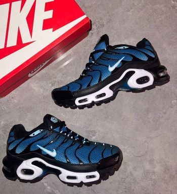 Nike tn bleu 43