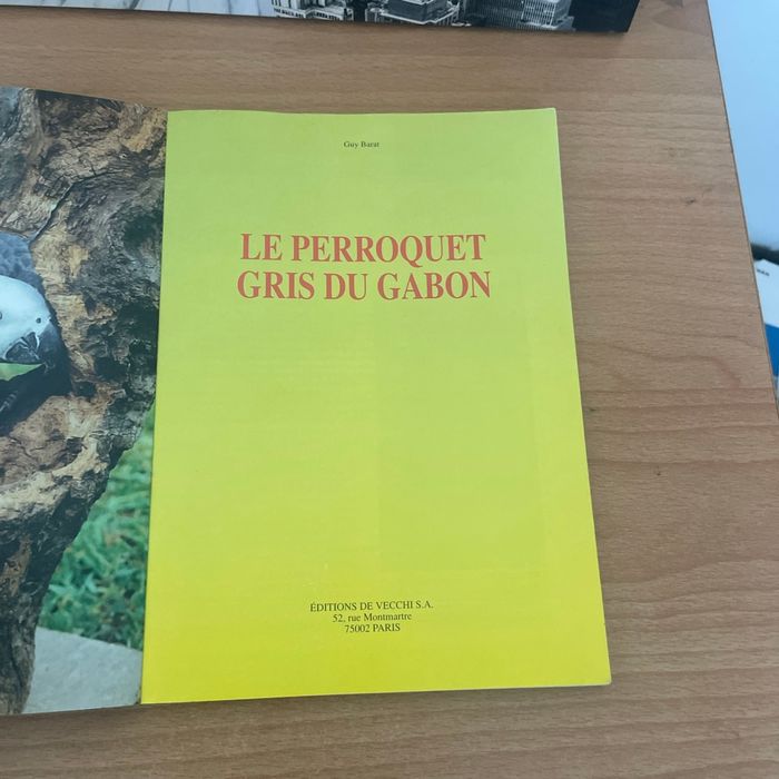 Le perroquet gris du Gabon - photo numéro 4