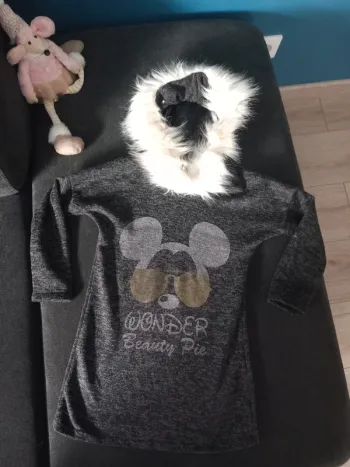 Robe pull Mickey 4 ans
