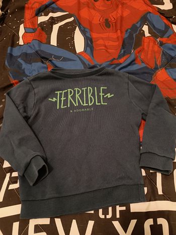 Pull manches longues