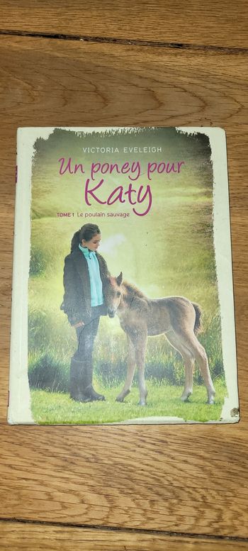 Un poney pour Katy ( Tome 1 : le poulain sauvage )