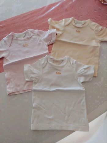 Lot de 3 tee shirt 3/6mois anne geddes neuf