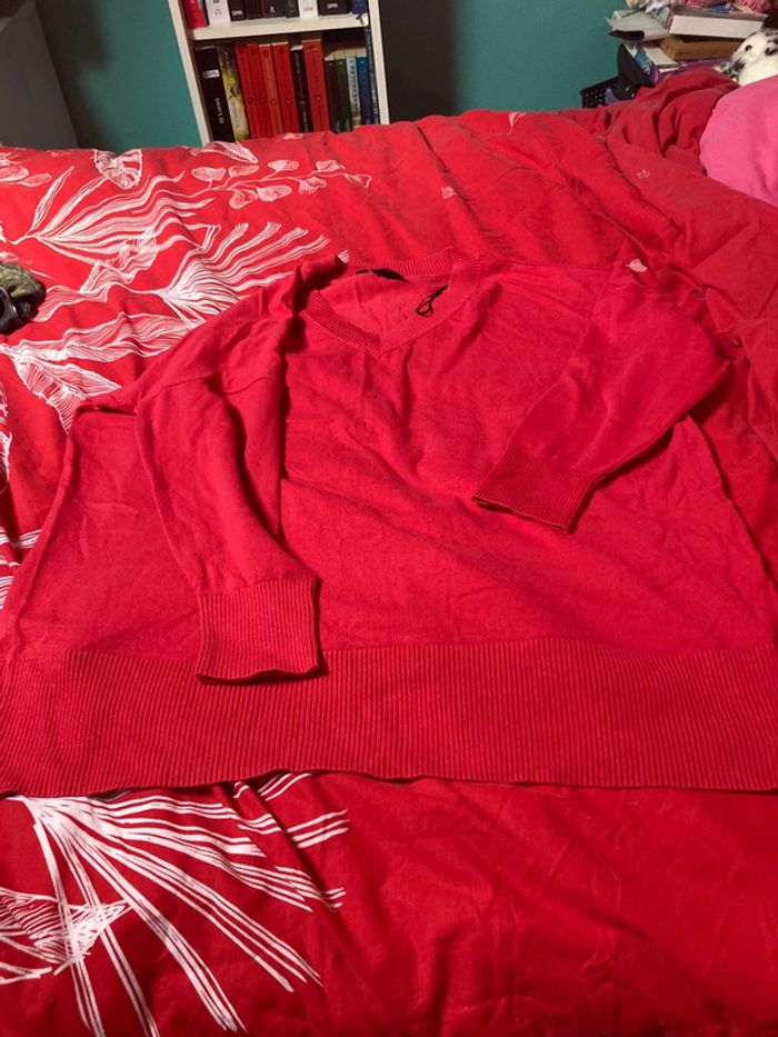 Lot de 2 pulls - photo numéro 3