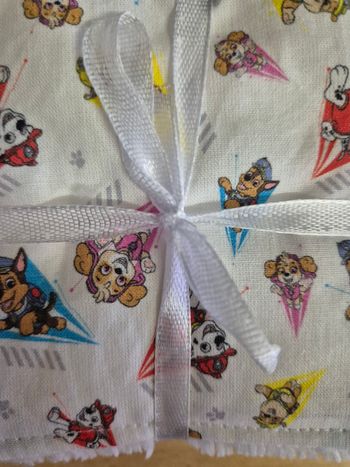 Linguettes nettoyantes patpatrouille 4.50 les9