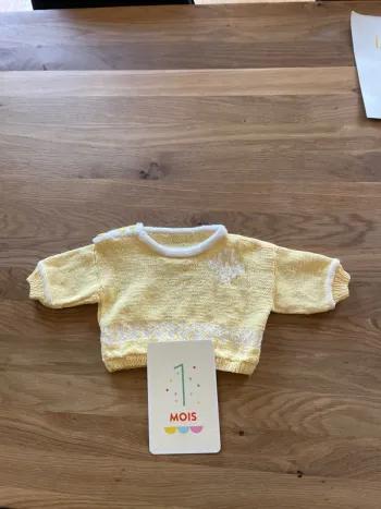 Pull 1 mois