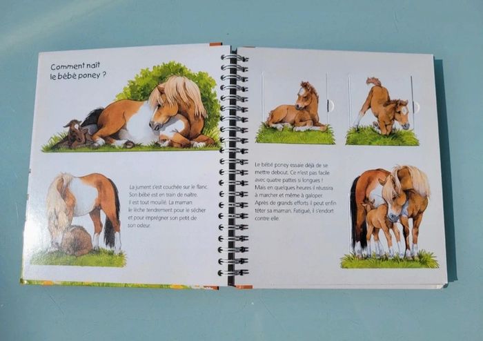 Livre animé à volets Les P'tits Juniors : 🐴 Les Poneys 🧲 35 - photo numéro 5