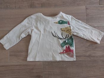 Tee-shirt manche longue garçon du pareil au même 3 ans