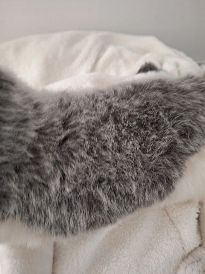 Grande peluche chien husky - photo numéro 4