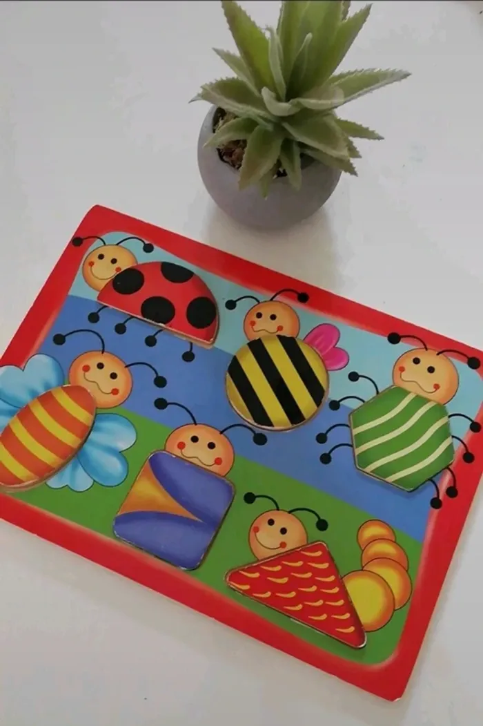 Puzzle en bois et reconnaissance des formes