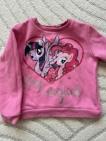 Sweat Little pony
