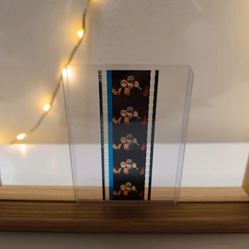 Pellicule démon slayer tanjiro, inosuke et zenitsu