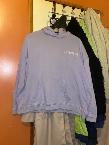 Sweat a capuche couleur lavande