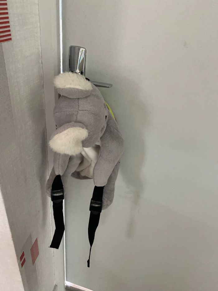 Sac koala