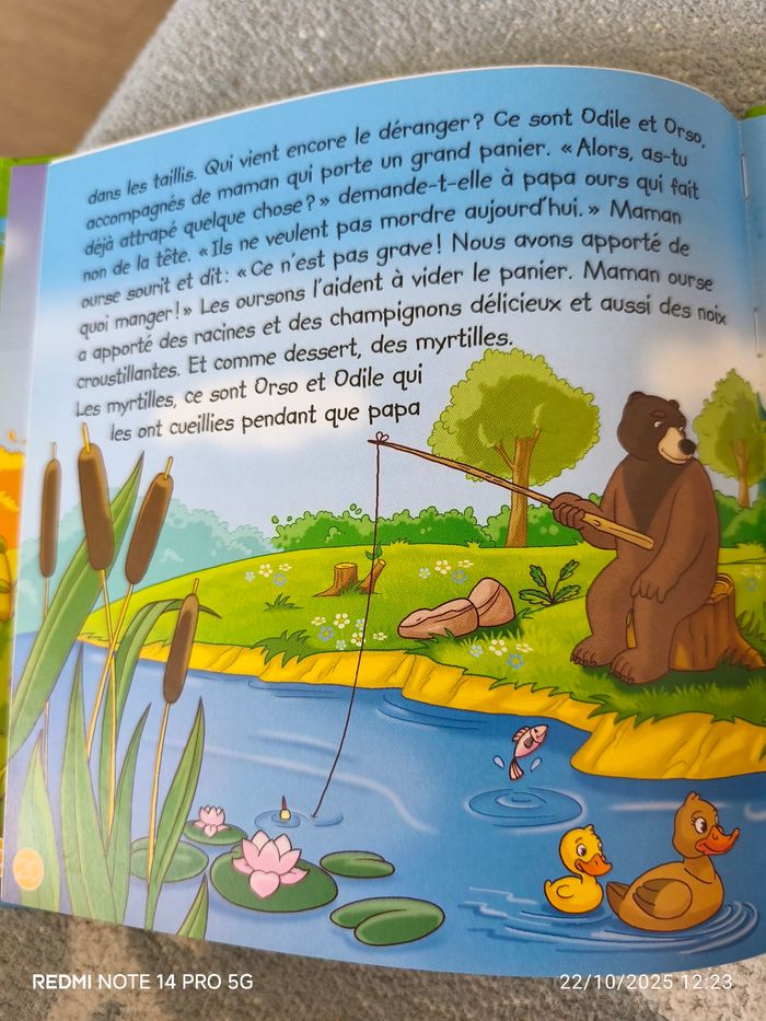 L'ours brun - photo numéro 3