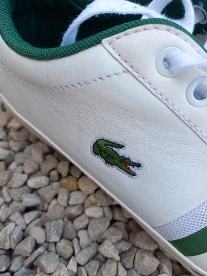 Chaussures Lacoste Misano - photo numéro 8