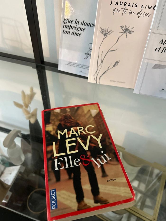 Livre de Marc Levy Elle et lui