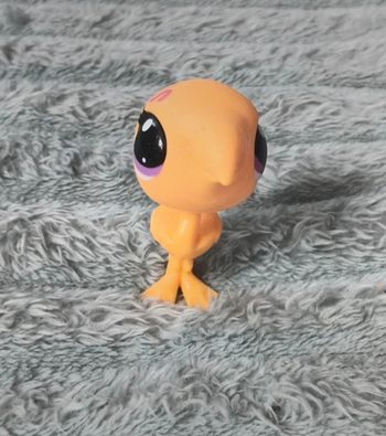 Petshop autruche 3540 ?
