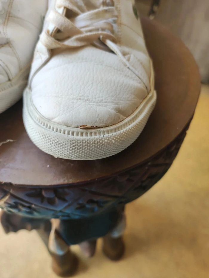 Tennis lacoste - photo numéro 6