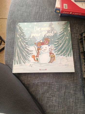 Un ami pour Noël