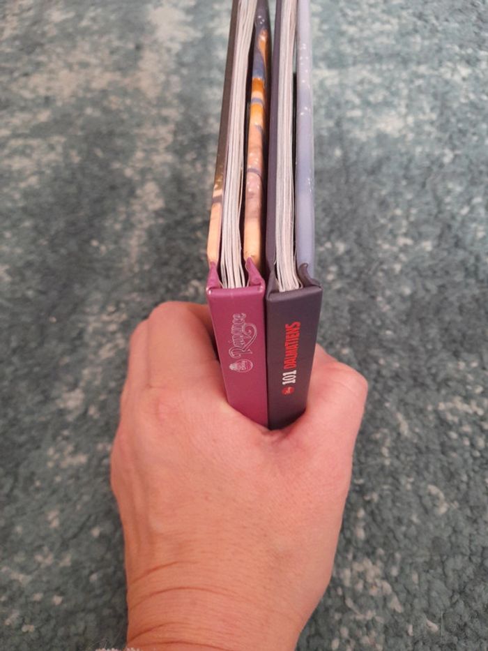 Lot livre cd disney raiponce + 101 dalmatiens - photo numéro 7