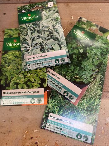 Lot graines vilmorin 