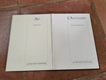 Lot de 2 livres Actes Sud ~papiers Art et l'Antichambre