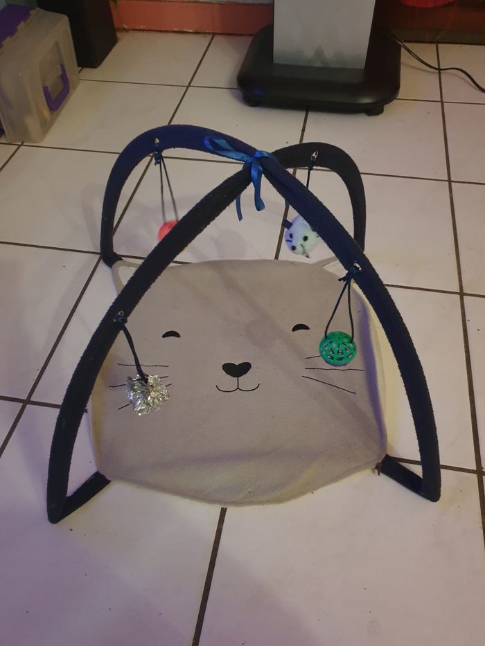 Jouet pour chat - photo numéro 8