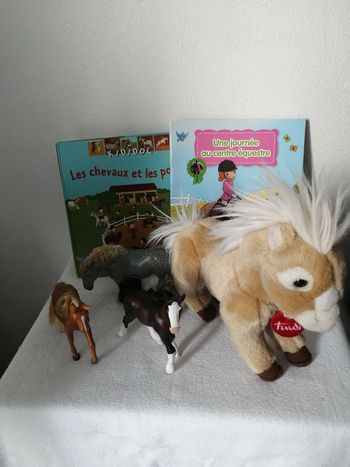 livre et peluche cheval