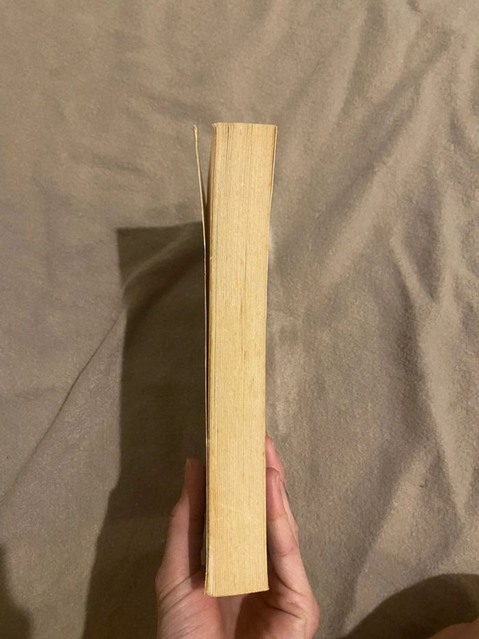Livre adulte roman - photo numéro 4