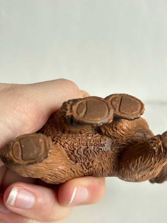 Ours brun papo - photo numéro 5