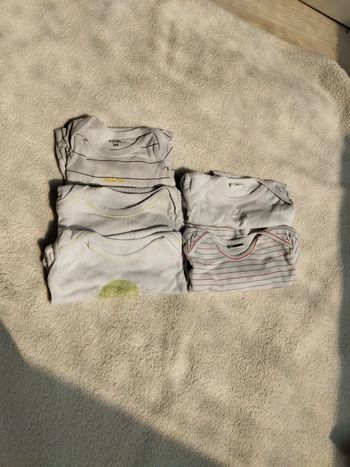 Bodies